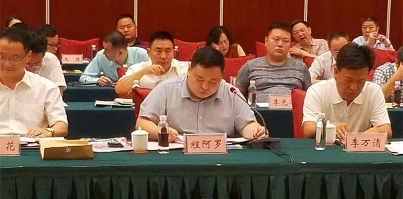 省**召开“长江大保护，民企在行动座谈会” 程力公司董事长程阿罗作典型发言