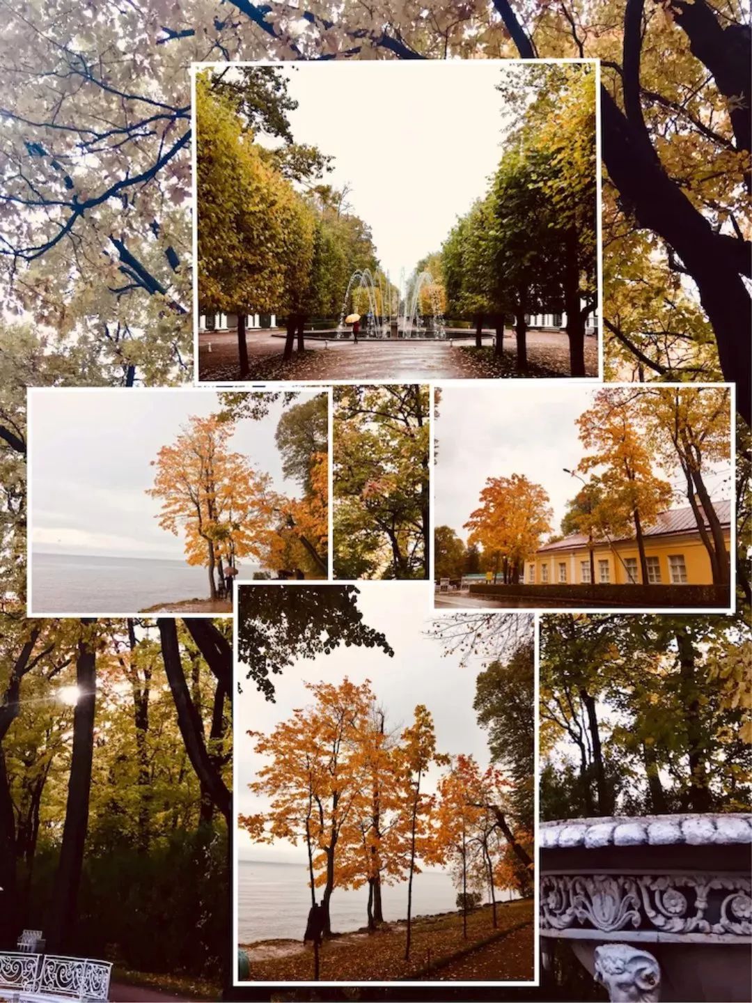 程力汽车集团赴俄罗斯参与国家“一带一路”大 略建设，展开商务学习之旅收获满满！