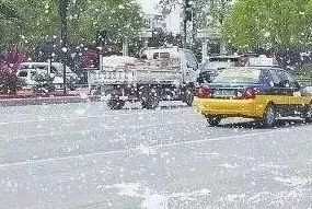 程力多功能抑尘车 专治飞絮絮利器