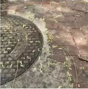 程力多功能抑尘车 专治飞絮絮利器