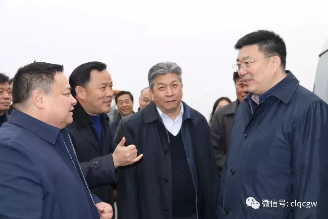 什么是程力?为您解读程力集团的发展历程