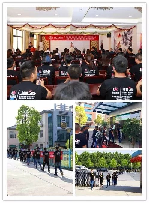 什么是程力?为您解读程力集团的发展历程