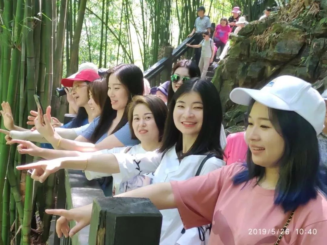 什么是程力?为您解读程力集团的发展历程