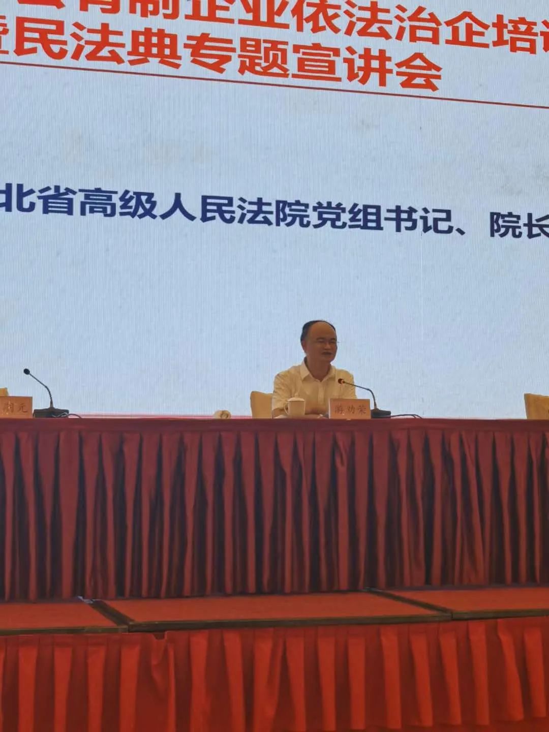 程力汽车集团总经理程阿罗参加湖北省非公有制企业依法治企培训暨民法典专题宣讲会并作主题分享